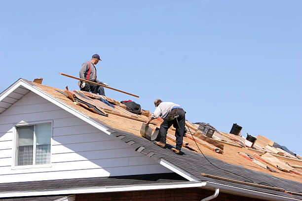 Best Emergency Roof Repair Services  in Chevy Chase, MD