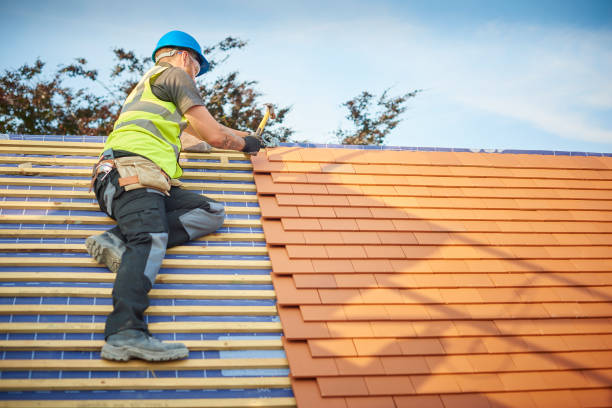 Best Roof Insulation Installation  in Chevy Chase, MD